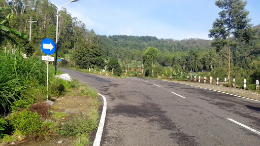 indahnya alam Gunung Lawu